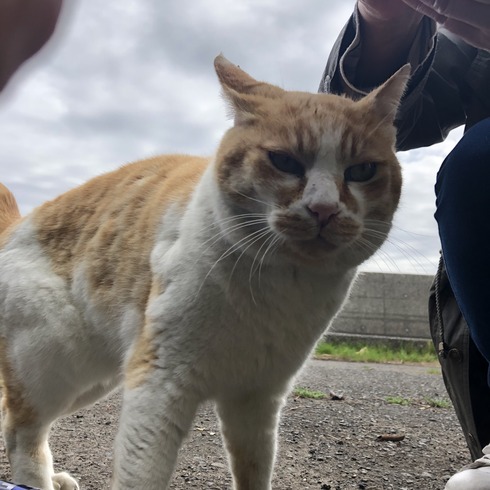 E375D49B-C3A9-4108-B492-2744DBBD99E1