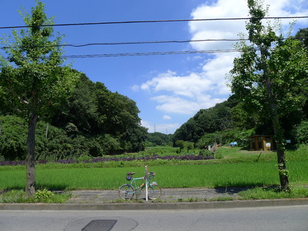 2016_07300047