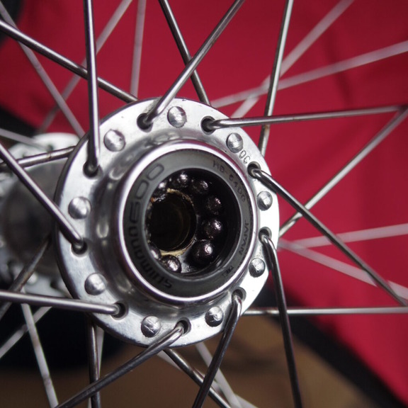 IMGP3591-1024x1024 (1)