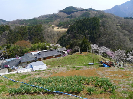 2014_04120086