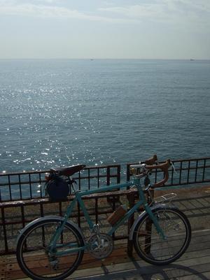 ������γ���