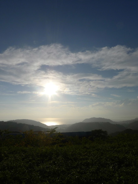 2013_09018290002