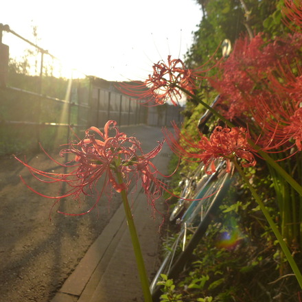 2013_09290032