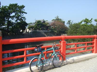 ���Ϳ���