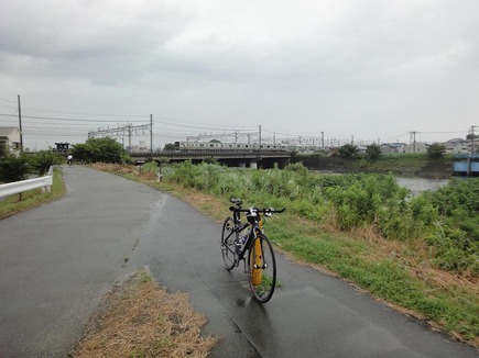 花水川沿い