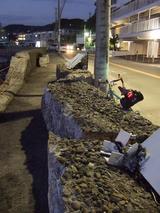 �˲����줿������