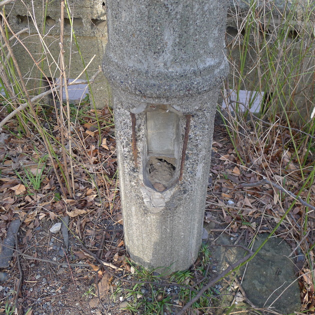 P1040801