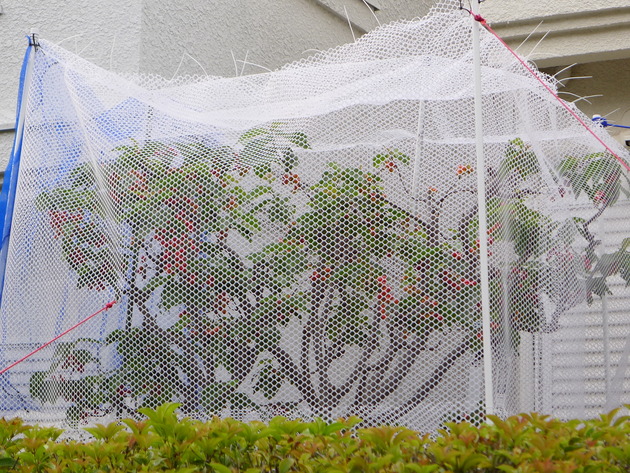 P1050364