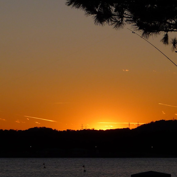 2001050053-1024x1024