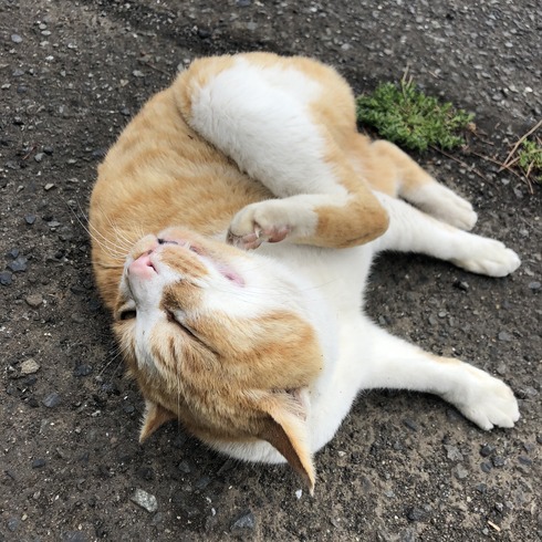 A0CAA533-CEFD-47F5-97BF-ED02D43CFF91