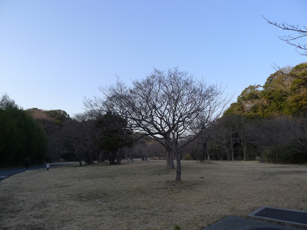 P1040812