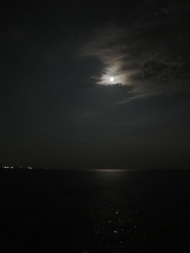 月夜