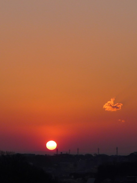 2014_01050029