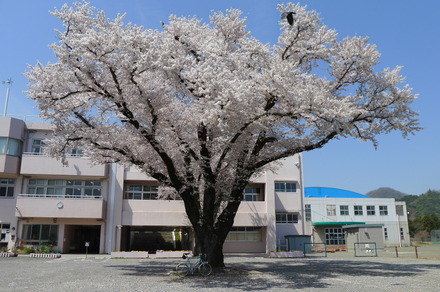 2014_04120014