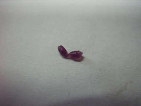 RIMG0937
