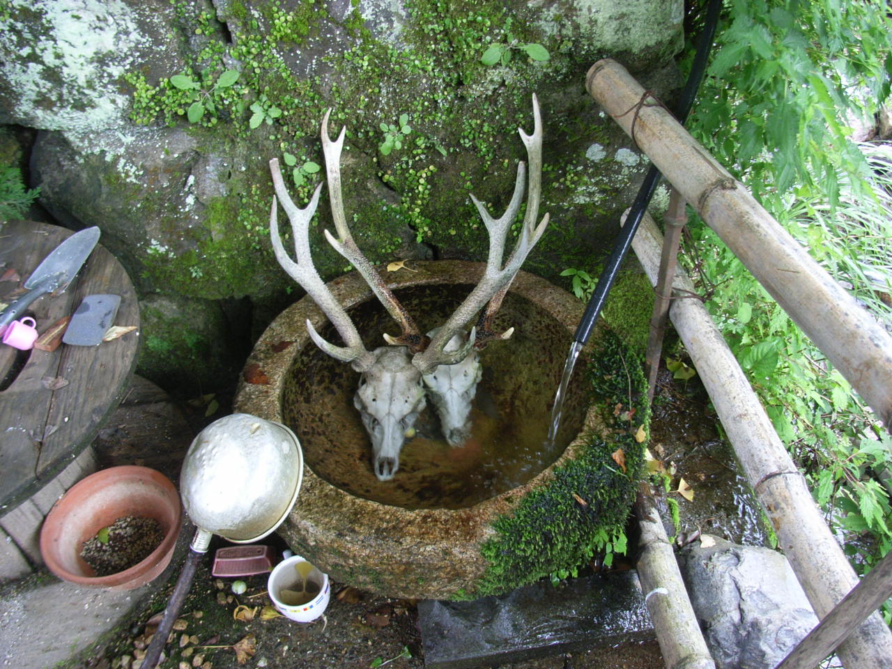 宮崎讃歌 ようこそ宮崎 のブログ 宮崎の渓谷