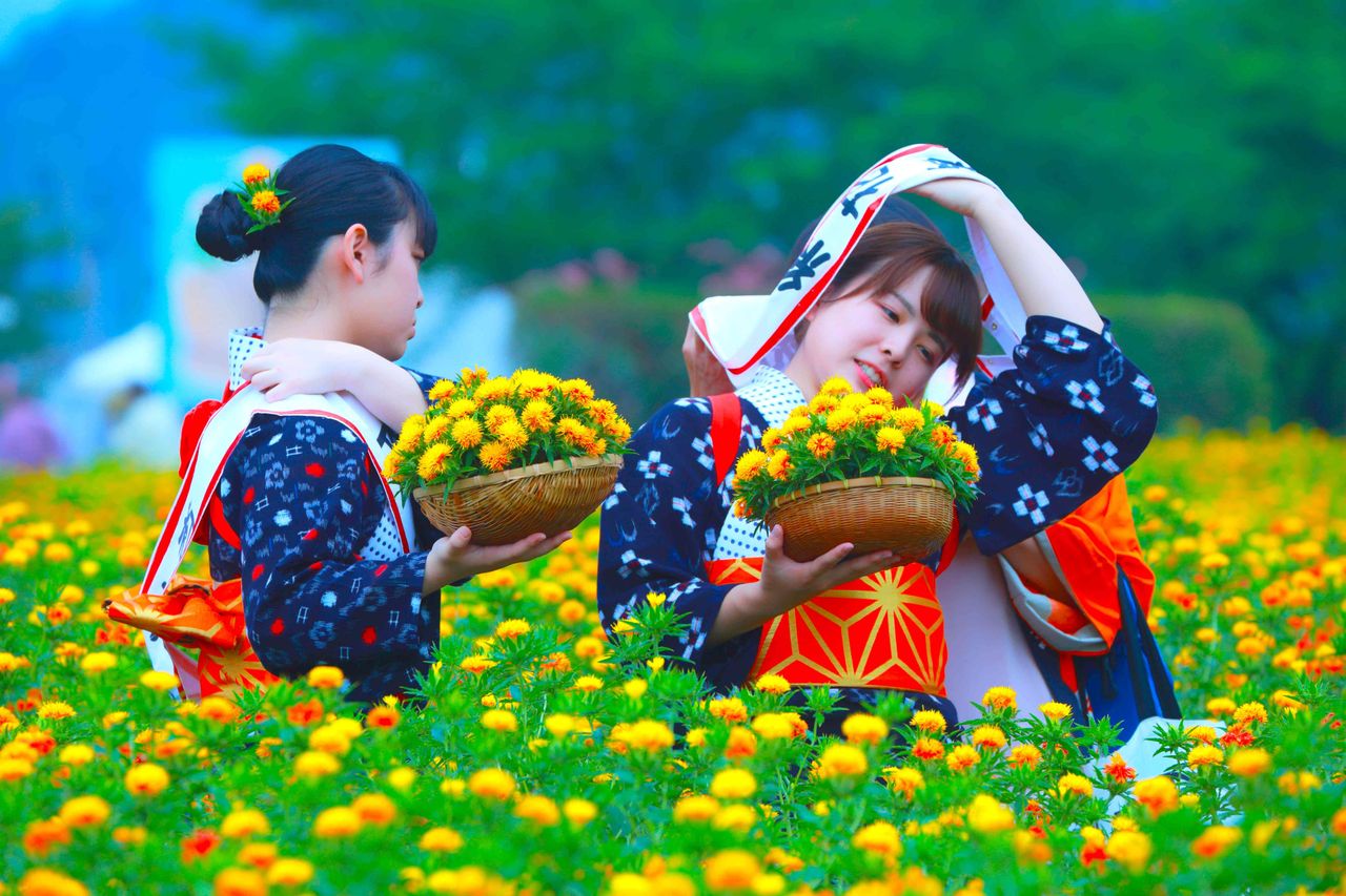 第３4回山形紅花まつり撮影会 癒しの写真館