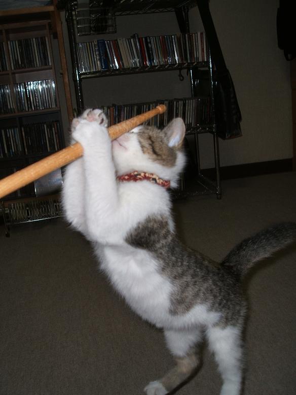 独り言 わしおのudog