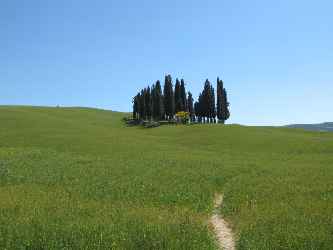 16年5月トスカーナスケッチ旅行2 イタリア田舎旅 ときどきイタリア以外も 16年5月トスカーナスケッチ旅行2 イタリア田舎旅 ときどきイタリア以外も