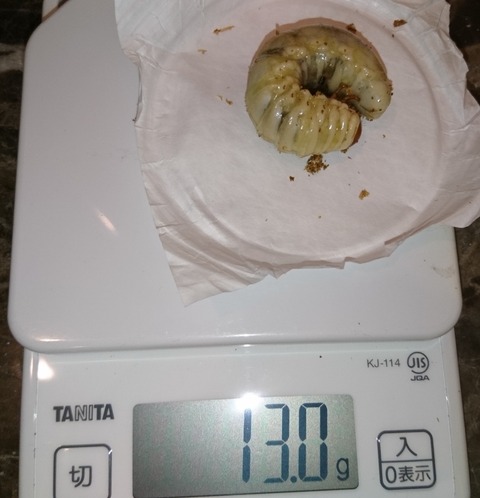 _20220223_122145