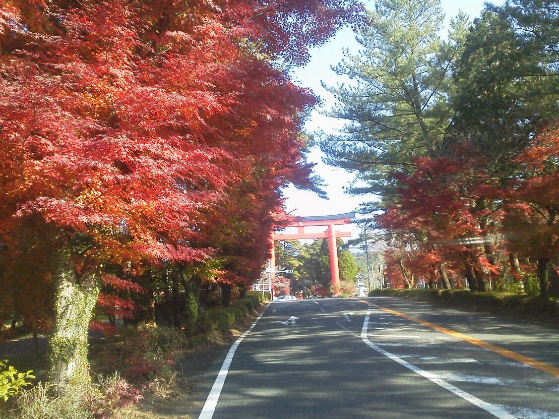12月8日 紅葉が最高の見ごろとなった霧島神宮周辺 釣りは楽しく 花は霧島 海釣り日記 12月8日 紅葉が最高の見ごろとなった霧島神宮周辺 釣りは楽しく 花は霧島 海釣り日記