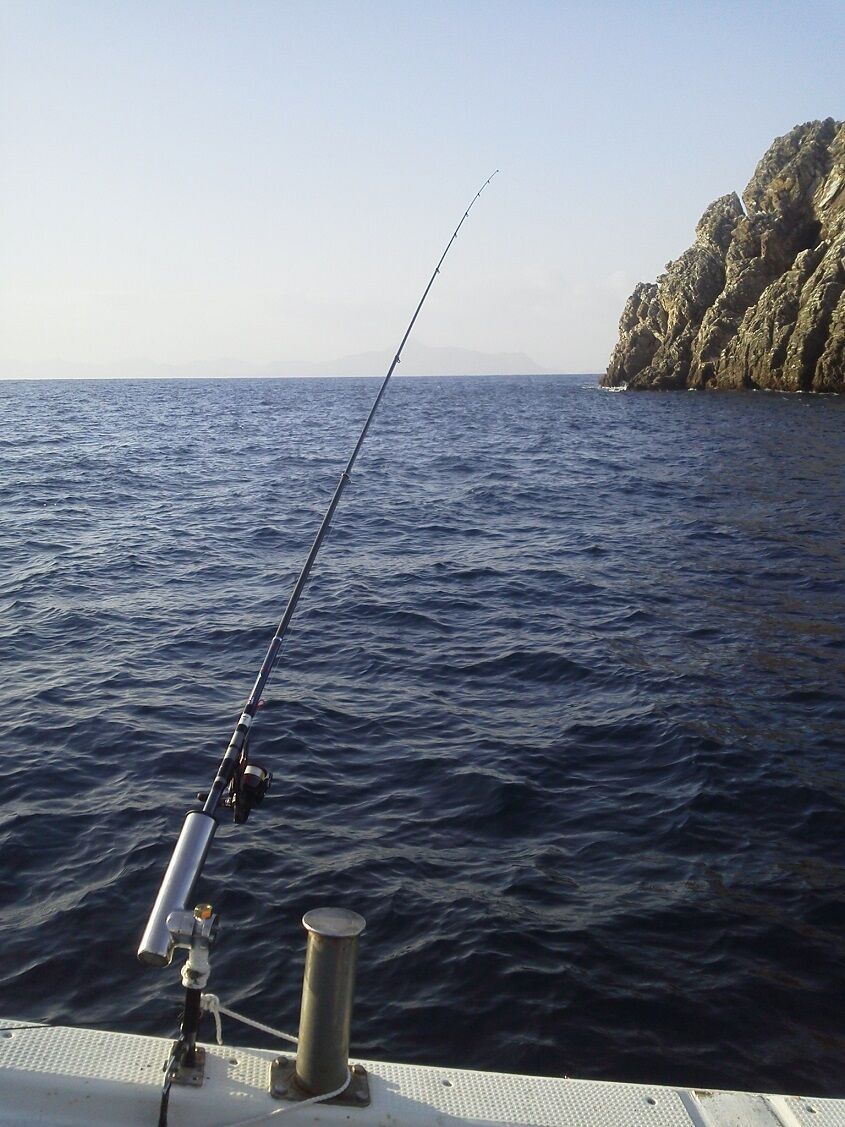 21年01月 釣りは楽しく 花は霧島 海釣り日記 21年01月 釣りは楽しく 花は霧島 海釣り日記