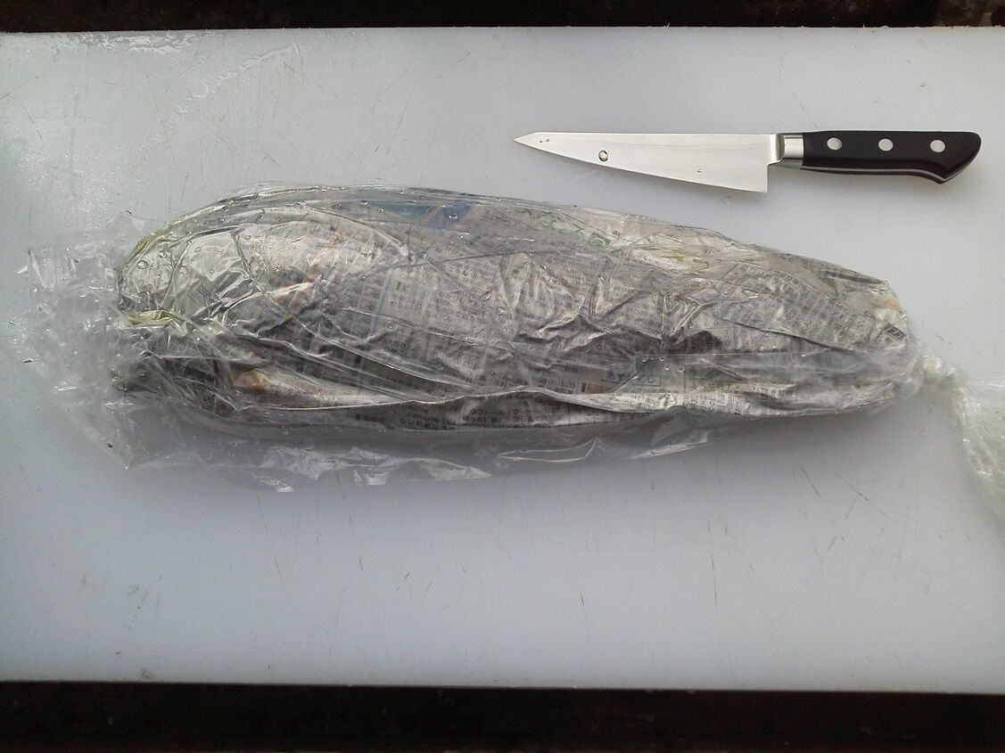 魚を食す 釣りは楽しく 花は霧島 海釣り日記 魚を食す 釣りは楽しく 花は霧島 海釣り日記
