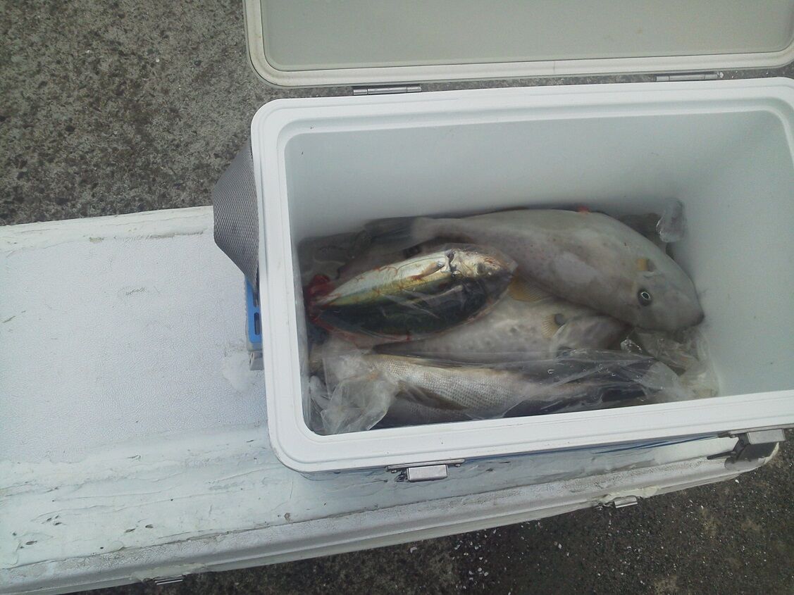 こんなもんでしょ 泳がせ釣りってw 10 16 鹿児島県久多島沖泳がせ釣行 釣りは楽しく 花は霧島 海釣り日記 こんなもんでしょ 泳がせ釣りってw 10 16 鹿児島県久多島沖泳がせ釣行 釣りは楽しく 花は霧島 海釣り日記