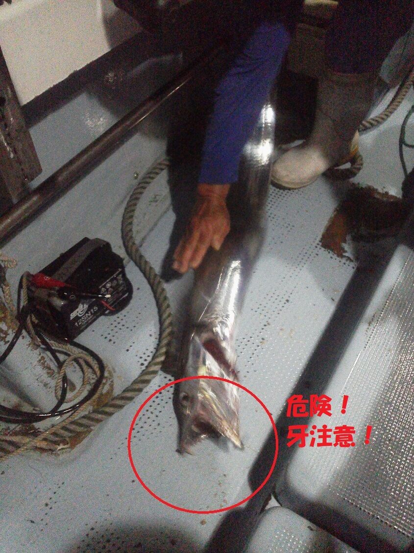 初ドラゴン狙いの我が仕掛け 睡拳も炸裂 ｗ 21 9 10 11 釣りは楽しく 花は霧島 海釣り日記
