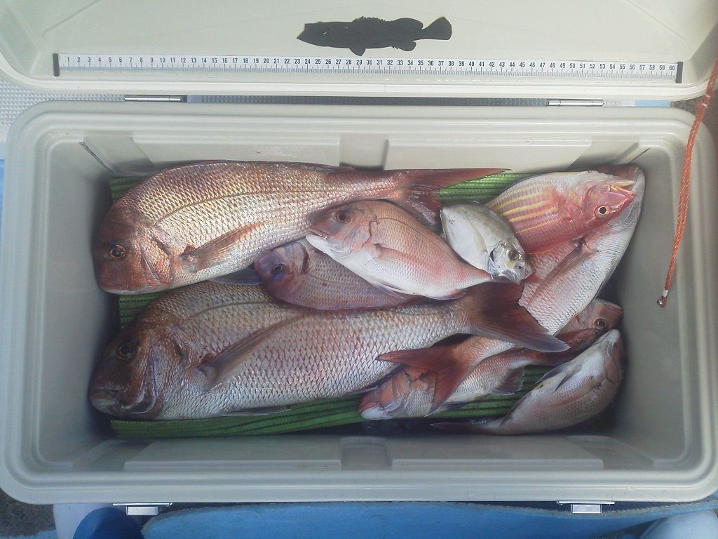 釣り 釣りは楽しく 花は霧島 海釣り日記