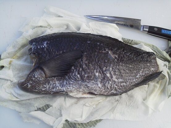 魚を食す 釣りは楽しく 花は霧島 海釣り日記 魚を食す 釣りは楽しく 花は霧島 海釣り日記