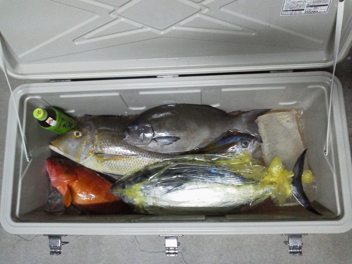 スマを求めて宇治群島へ 19 12 16 釣りは楽しく 花は霧島 海釣り日記