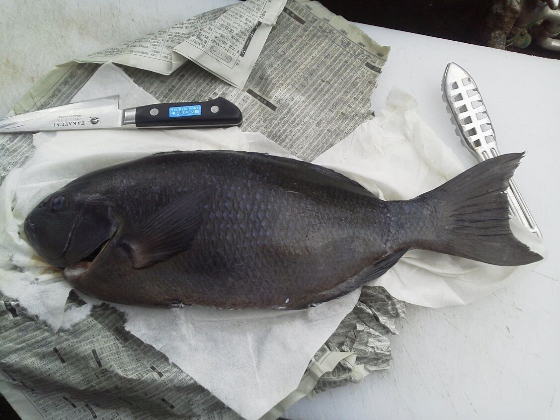21年01月 釣りは楽しく 花は霧島 海釣り日記
