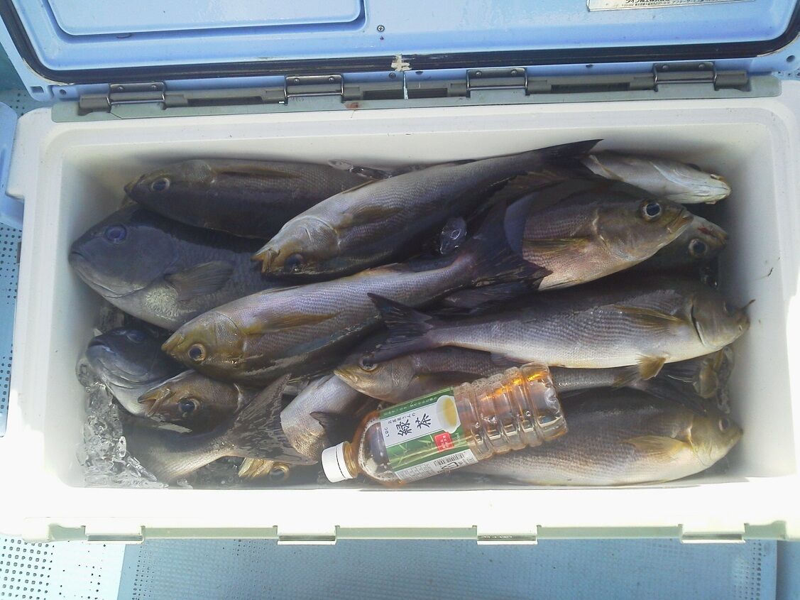 21年01月 釣りは楽しく 花は霧島 海釣り日記