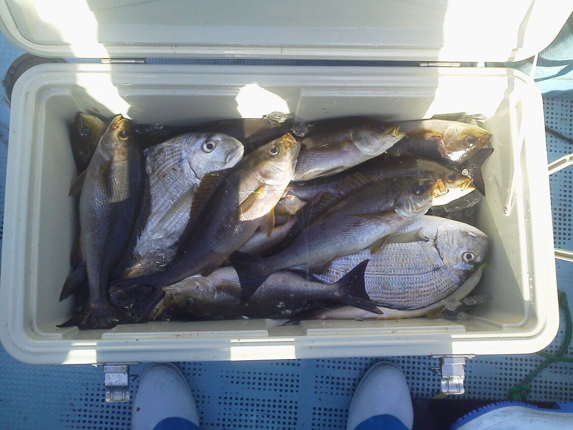 21年01月 釣りは楽しく 花は霧島 海釣り日記