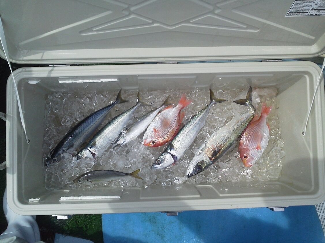 都井岬沖の鯖釣りだったが 原因不明 活性なし r2 6 2 釣りは楽しく 花は霧島 海釣り日記 都井岬沖の鯖釣りだったが 原因不明 活性なし r2 6 2 釣りは楽しく 花は霧島 海釣り日記