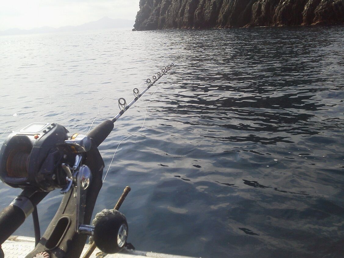 21年01月 釣りは楽しく 花は霧島 海釣り日記 21年01月 釣りは楽しく 花は霧島 海釣り日記