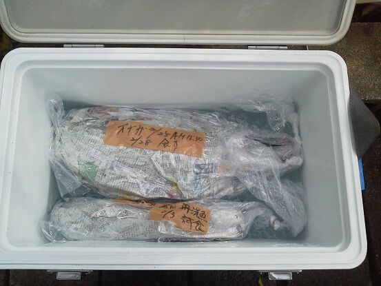 津本式の究極の血抜きによる魚の熟成にチャレンジ 釣りは楽しく 花は霧島 海釣り日記