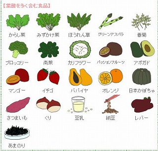 キャプテンブライ 無駄だ ステートメント 葉酸 多く 含む 食材 Omall Jp