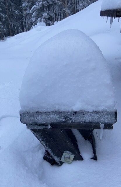 29D95ACD-CE1B-418A-935C-64442703BD23