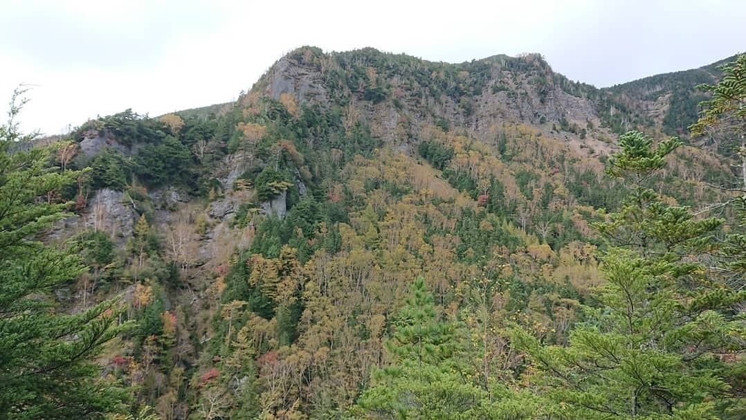 IMG_20181005_203804_337