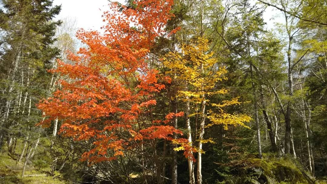 IMG_20181005_203804_338