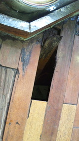 620d533d.jpg
