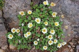 6c3b3052.jpg