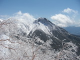 77b16d87.jpg