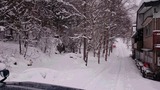 79ae55a5.jpg