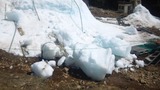 86c9ef81.jpg