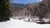 8c955b50.jpg