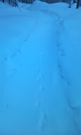 9c046348.jpg