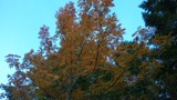 9d647e0a.jpg